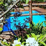 Giardino 21 Marzo 维克艾库塞