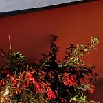 Giardino 21 Marzo 维克艾库塞