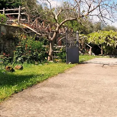 Giardino 21 Marzo ベッド・アンド・ブレックファスト