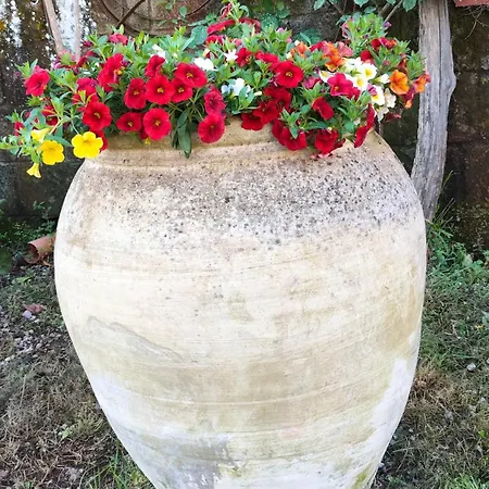 Giardino 21 Marzo 住宿加早餐酒店 维克艾库塞