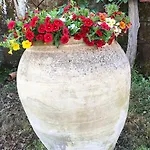 Giardino 21 Marzo Bed & Breakfast Vico Equense