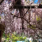 Giardino 21 Marzo