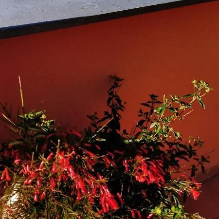 Giardino 21 Marzo 维克艾库塞