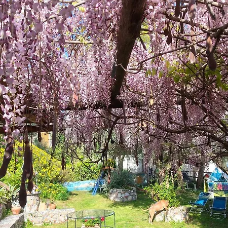 Panzió Giardino 21 Marzo