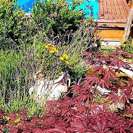 Giardino 21 Marzo فندق مبيت وإفطار