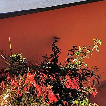 Nocleg ze śniadaniem Giardino 21 Marzo 4*